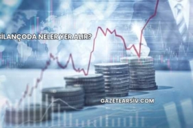 Bilançoda Neler Yer Alır?