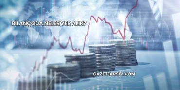 Bilançoda Neler Yer Alır?