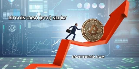 Bitcoin Cash (BCH) Nedir?