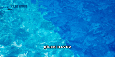 Çilek Havuz Hakkında: Havuz Yapımında Sektörün Devi