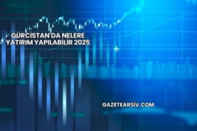 Gürcistan'da Nelere Yatırım Yapılabilir 2025