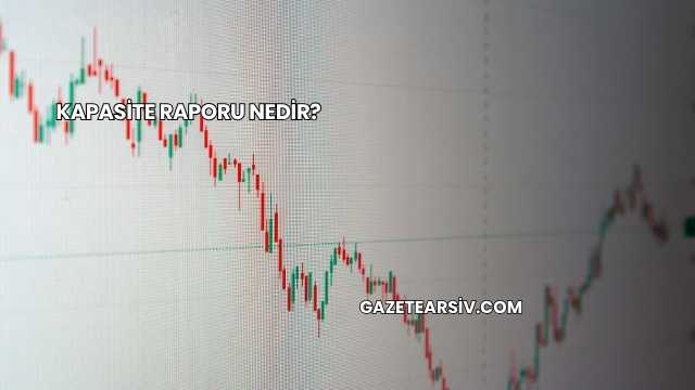 Kapasite Raporu Nedir?