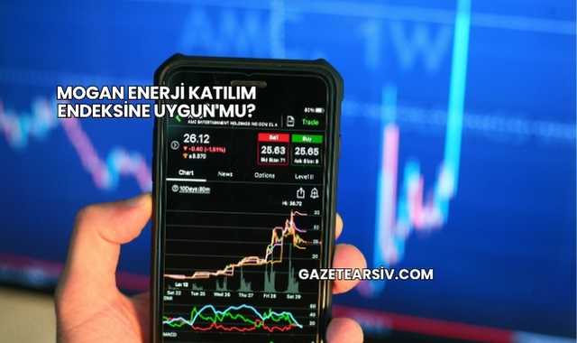 Mogan Enerji Katılım Endeksine Uygun mu?