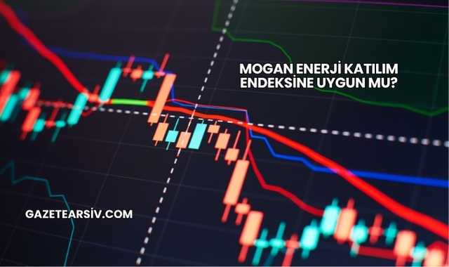 Mogan Enerji Katılım Endeksine Uygun mu?