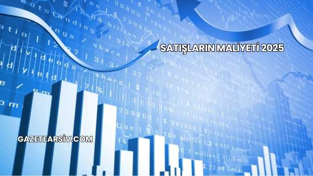 Satışların Maliyeti 2025