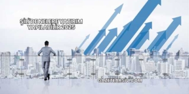 Şili'de Nelere Yatırım Yapılabilir 2025