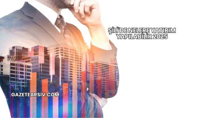 Şili'de Nelere Yatırım Yapılabilir 2025