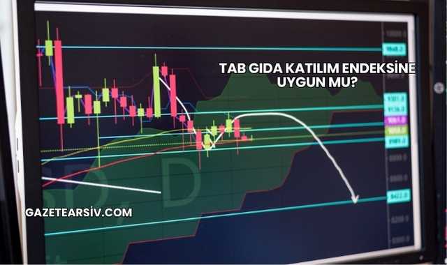 Tab Gıda Katılım Endeksine Uygun mu?