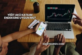 Yiğit Akü Katılım Endeksine Uygun mu?