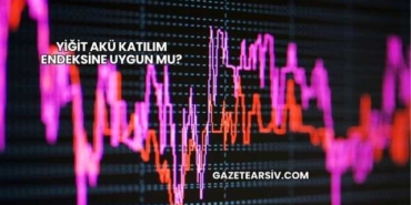 Yiğit Akü Katılım Endeksine Uygun mu?