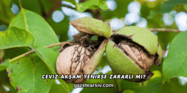 Ceviz Akşam Yenirse Zararlı mı?