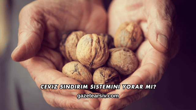 Ceviz Sindirim Sistemini Yorar mı?
