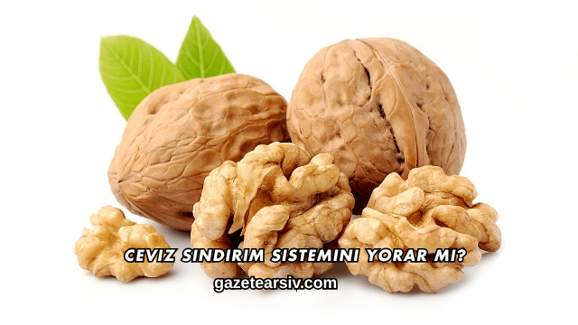 Ceviz Sindirim Sistemini Yorar mı?