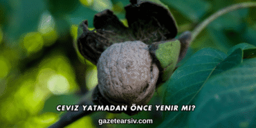 Ceviz Yatmadan Önce Yenir mi?